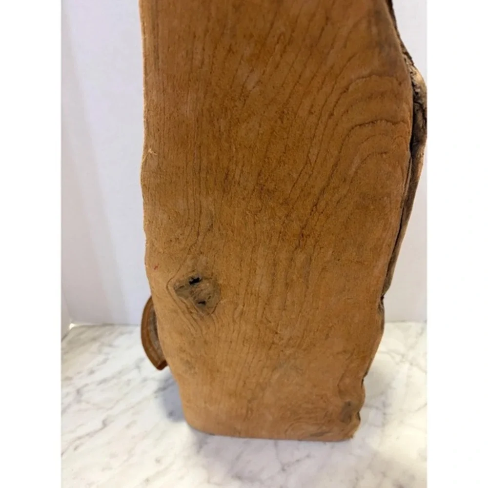 Driftwood‎ with adorable baby owl and mushrooms 14